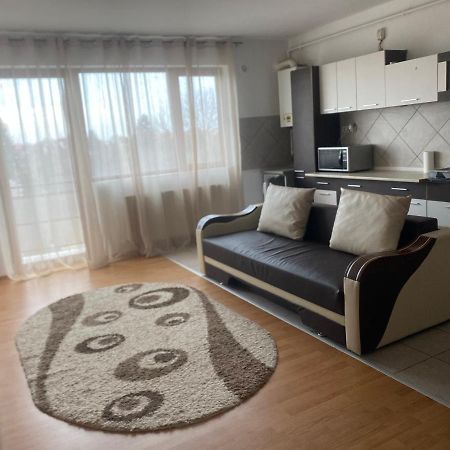 2Br Cosy Apart Сату-Маре Экстерьер фото