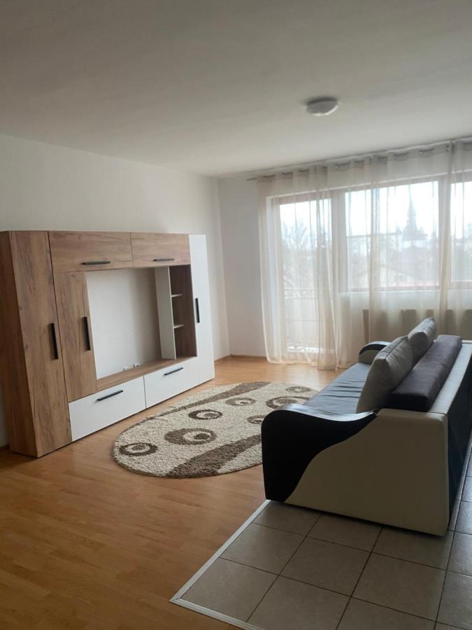 2Br Cosy Apart Сату-Маре Экстерьер фото